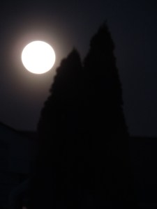 Beach Trip 5 2013 007