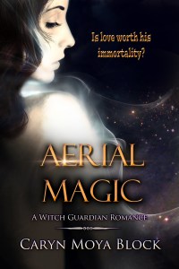 https://carynmoyablock.com/books/the-witch-guardian-romance-series/aerial-magic/