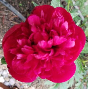 odv0VpKKQzCudQQz1mlUfA_thumb_1cf8